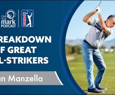 3D Breakdown of Great Ball-Strikers with Brian Manzella