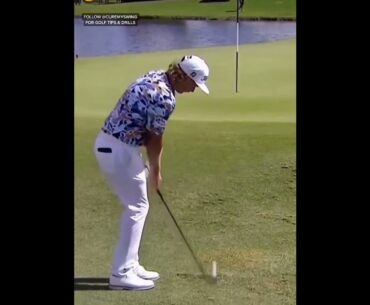 Chipping technique #Shorts