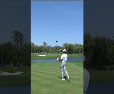 Max Homa hits the flagstick on par - 4 #golf #shorts #golfswing #golfer