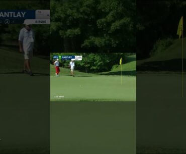 Patrick Cantlay 50 FOOT PUTT