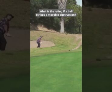 Ball Strikes Movable Obstruction - Golf Rules Explained