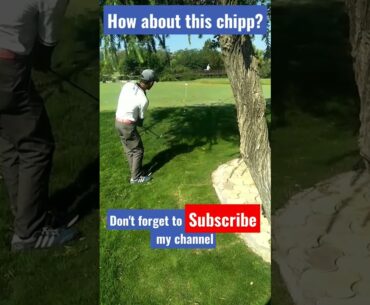 How about this Golf chipping|Golf Swing| #shorts