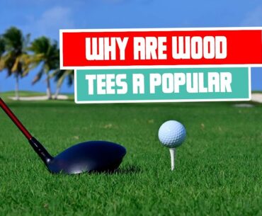How to choose the right height and size of wood tees for optimal performance