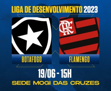 LDB 2023 | Botafogo x Flamengo | 19/06/2023