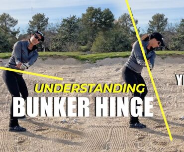 Understanding Bunker Hinge