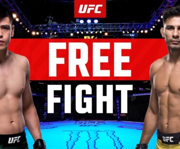 Alexandre Pantoja vs Brandon Moreno 1 | FREE FIGHT | UFC 290