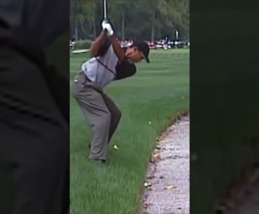 How Tiger Woods Nailed This Bunker Shot (Hit & Run) #bunkershot #youtubeshorts #shorts #tigerwoods