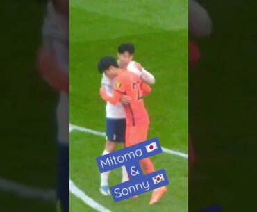 Mitoma and Heung Min Son ｜ 손흥민 & 미토마｜三笘薰 & ソンフンミン