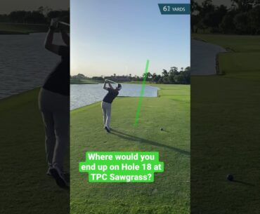 Where Would Your Tee Shot End up on Hole 18 at TPC Sawgrass? Funny Golf Fail! #golf #golftips