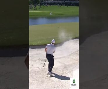 Justin Rose Walking It In with an Impressive Par Save at No. 2 PGA Championship #Shorts