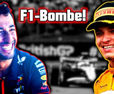 Red Bull holt Ricciardo zurück & denkt über Norris nach!