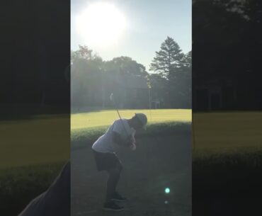 Up and down from bunker #golf #golfer #greens #bunker #shorts #shortsfeed #subscribe