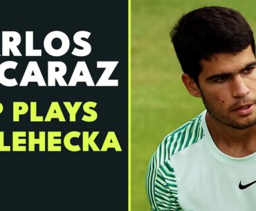 Carlos Alcaraz's Top Plays vs Lehecka! | Queen's 2023 Highlights