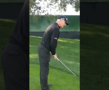 The BEST posture for a golf swing - Pete Cowen #shorts #golfswing #golf #golftips