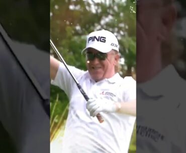 INSANELY SHOT BY Miguel Ángel Jiménez ☝️ - HOLE IN ONE shorts🏌️‍♂️⛳