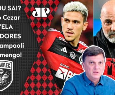 INFORMAÇÃO EXCLUSIVA sobre SAMPAOLI! "A diretoria do Flamengo vai..." Mauro Cezar REVELA BASTIDORES