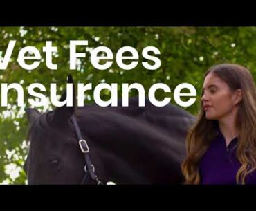 The Harry Hall One Club in less than a minute | Horse Insurance for Equestrians