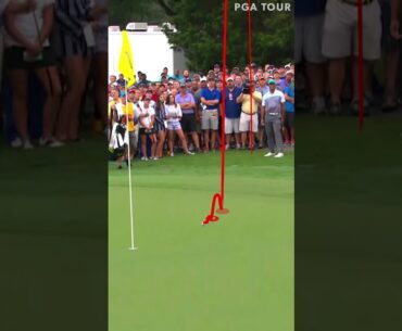 Oh, just Tiger doing Tiger things 🐅