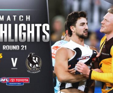 Hawthorn v Collingwood Highlights | Round 21, 2023 | AFL