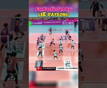 Fantastic Set by Lee Dayeong (이다영) #bestsetter #이다영 #shorts