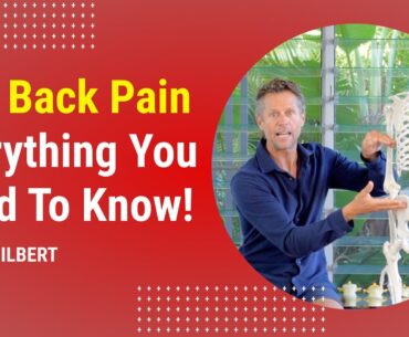 Low Back Pain - Everything You Need To Know | Jason Gilbert
