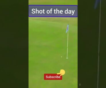 Shot of the day |what a back spin #sports #shorts