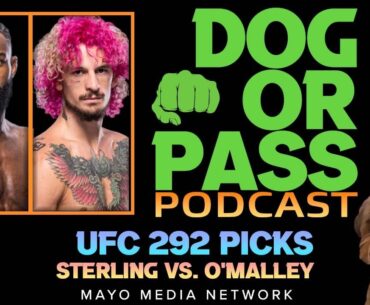 UFC 292 Picks, Bets | Sterling vs O'Malley Fight Previews | Conor, Jake Paul, Elon vs Zuckerberg