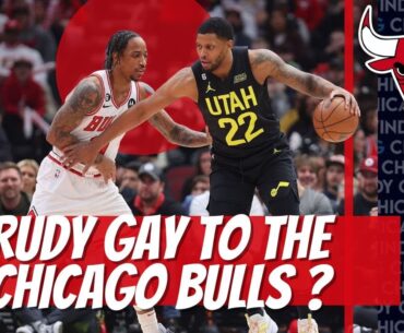 Chicago Bulls Expected To Show Interest in signing Rudy Gay