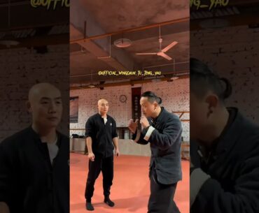 Shaolin Monk Meets Wing Chun Master Tu Tengyao : A Martial Arts Exchange of Techniques and Wisdom