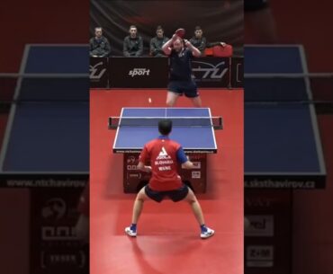 Absolutely INSANE Table Tennis Defense from Yang Wang ! #tabletennis #defence #proplayer