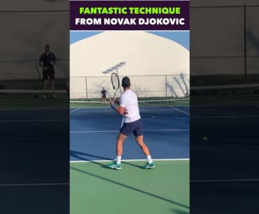 FANTASTIC TECHNIQUE FROM NOVAK DJOKOVIC #tennis #shorts