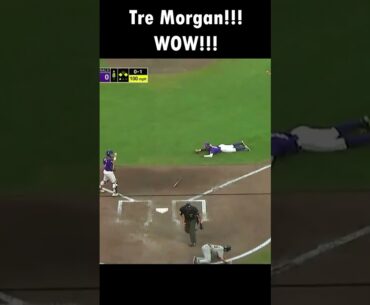 Tre Morgan Saves the Season for LSU!!!