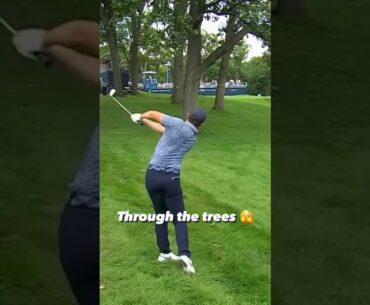 Is this the greatest birdie ever made? 😱