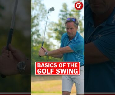 The basics of the golf swing explained #shorts