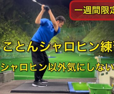 とことんシャロヒン練習　強めるにはどういう意識？　川村洋介シャロヒンゴルフ　kawaswing golf