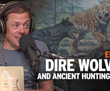 MeatEater Podcast Ep. 466 | Dire Wolves and Ancient Hunting Dogs