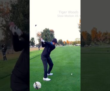 TIGER WOODS GOLF SWING 2023