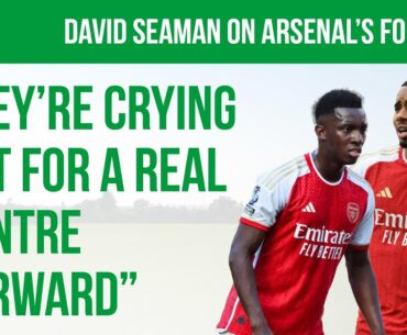 Do Arsenal Need a New Centre Forward If They Are To Compete? | Seaman Says