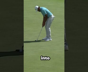 Tony Finau Makes an Unbelievable Birdie From The Trees