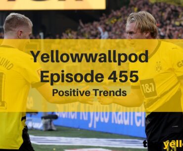 Yellowwallpod EP 455: Positive Trends