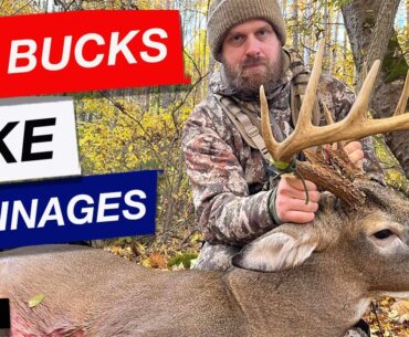 EP. 340: Why Drainages Can Equal Mountain Buck Success