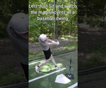 Baseball Swings Are So Satisfying