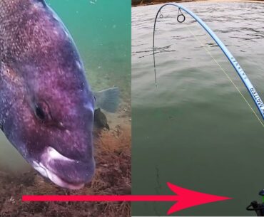 Underwater Video Shows Fish Hitting Jigs - Turn Bites Into Catches!