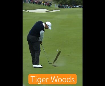 Tiger woods satisfying divot #golf #골프 #short