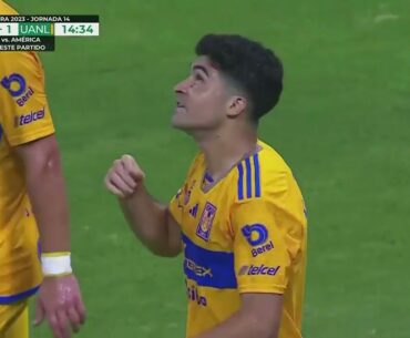 Gol de Nicolás Ibáñez | Chivas 0-1 Tigres | Liga BBVA MX | Apertura 2023 -  Jornada 14