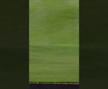 The luckiest shot you will see all day by Louis Oosthuizen during the 2022 #dunhillchamps