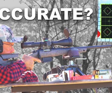 How Accurate Are These Precision 308 Rifles?