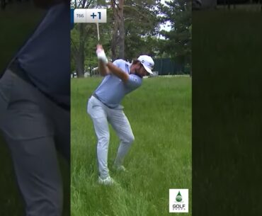 Incredible Recovery Shot Alert Cameron Young Makes Birdie at RBC Canadian Open #Shorts