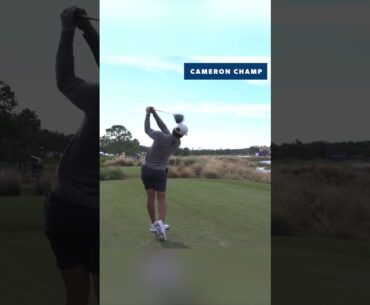 No.1 초장타자 "카메론 챔프" 파워장타 스윙모션 & 슬로우모션, Long Hitter "Cameron Champ" Amazing Swing Motion & Slow Motion