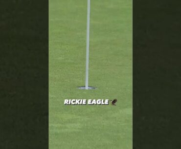Rickie Fowler Eagle - shoots career low 60! #golf #pga #travelerschampionship